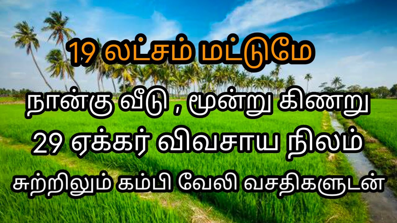 மிகக் குறைந்த விலையில் விவசாய நிலம் விற்பனை#🌾🍁low price agriculture land sale£🌲village land sales🛣️
