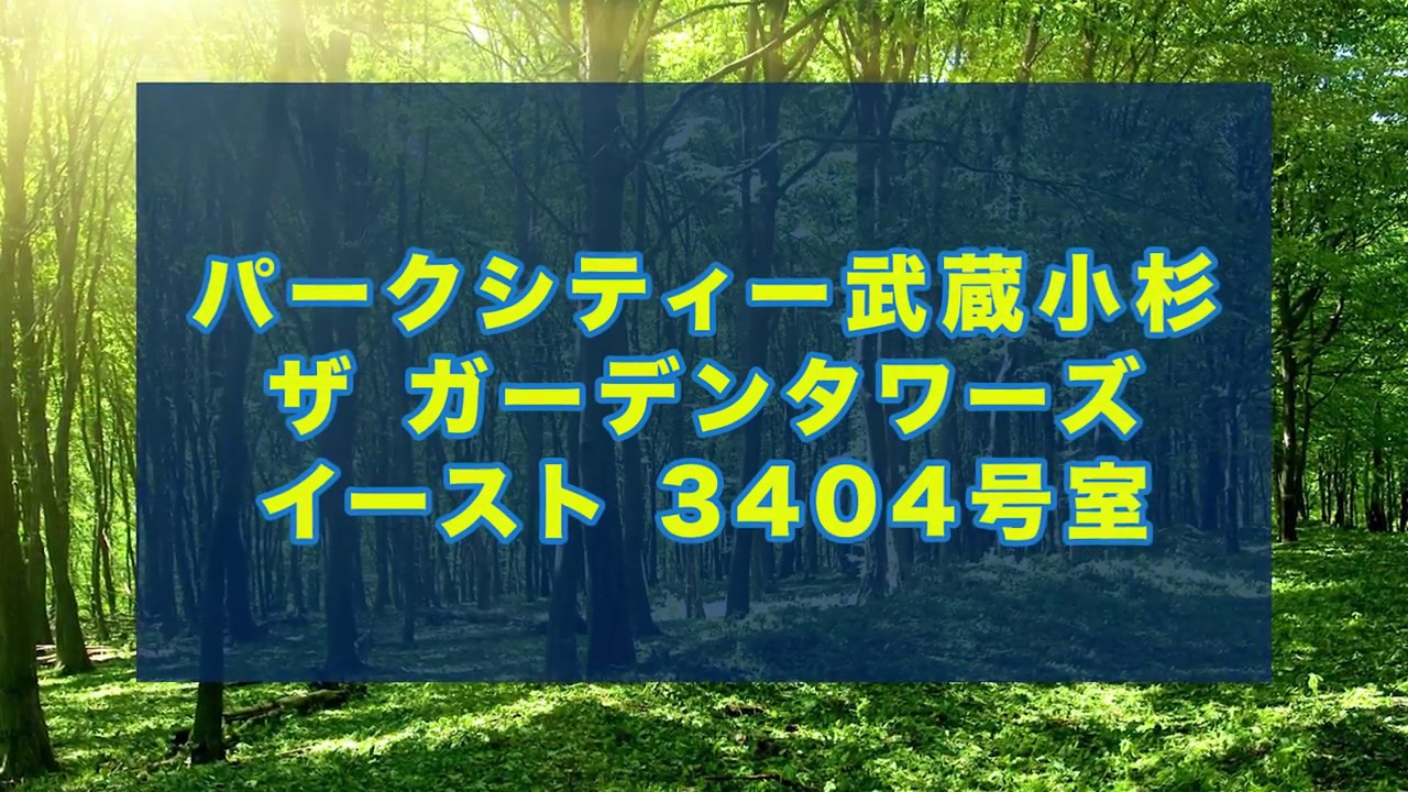 パークシティー武蔵小杉　ザ ガーデンタワーズ イースト 34階
