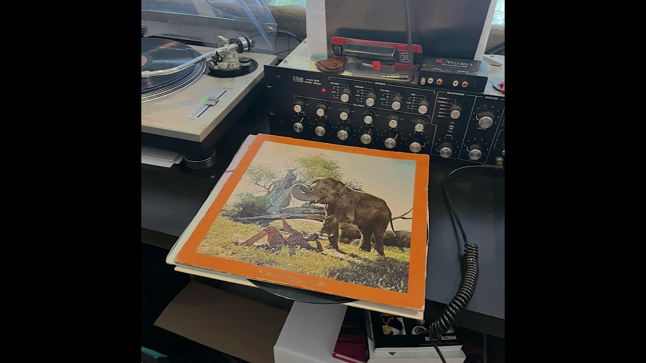 BLACK STAR - BROOKLYN, NYC