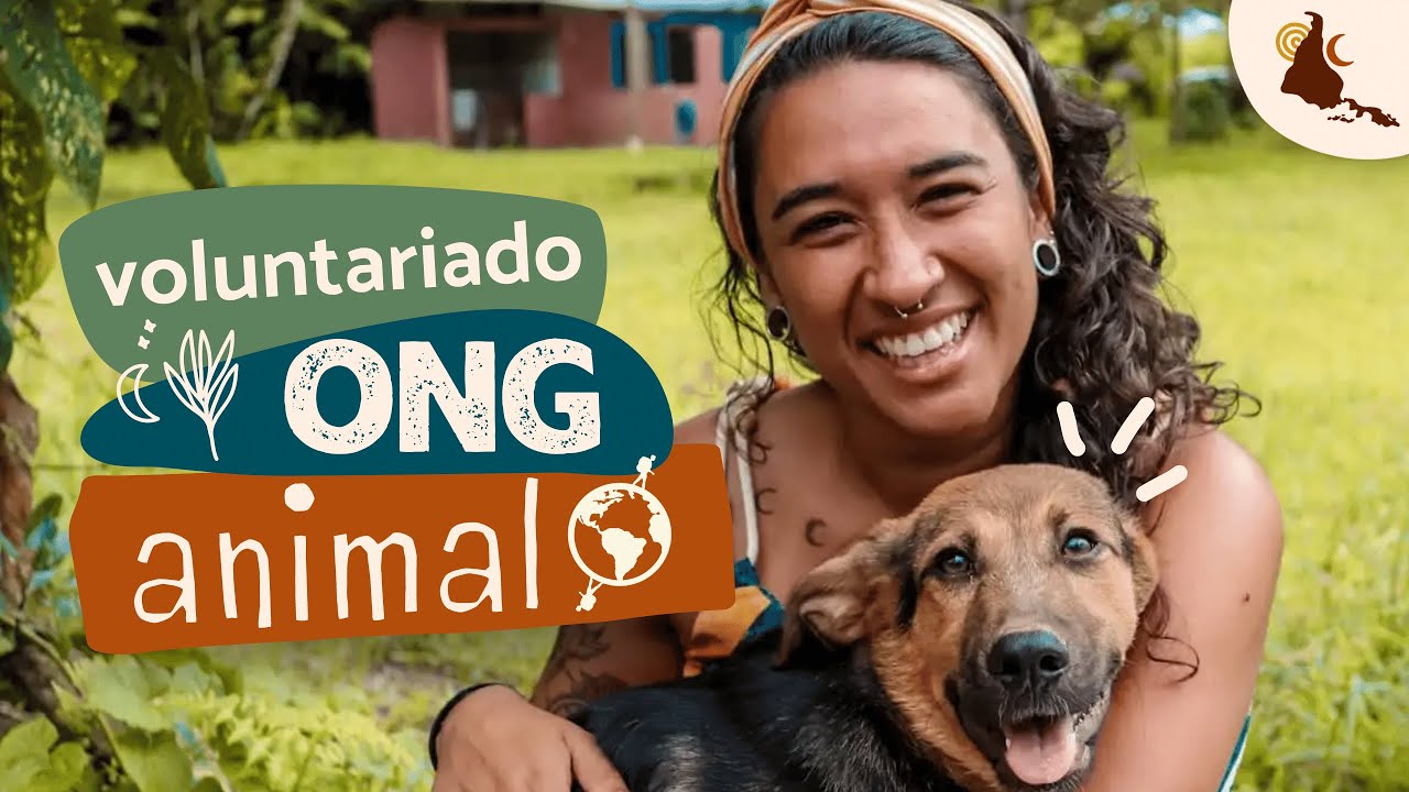 VOLUNTARIADO numa ONG ANIMAL pela Worldpackers Brasil