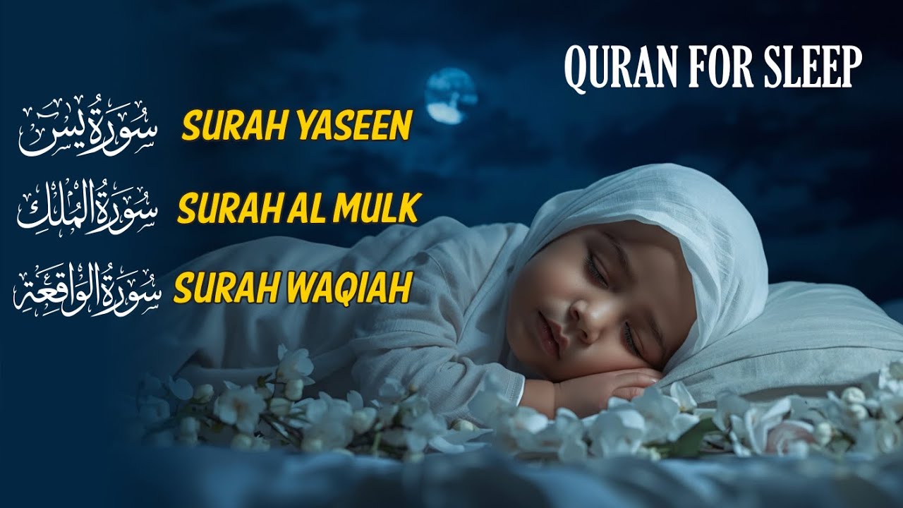 Soothing Quran Recitation Before Sleep | Surah Yaseen, Surah Al Mulk, Surah Al Waqiah