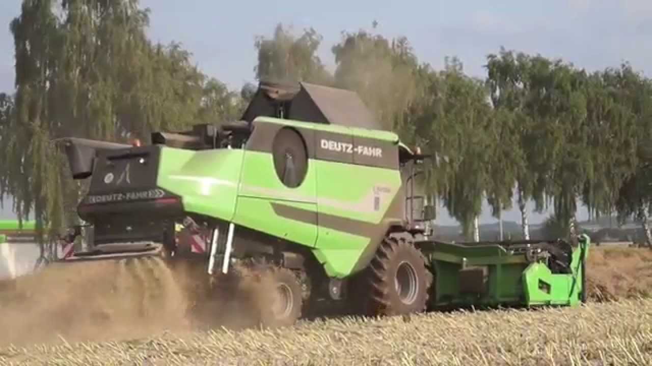 Deutz-Fahr C9206 TS  Rapsernte