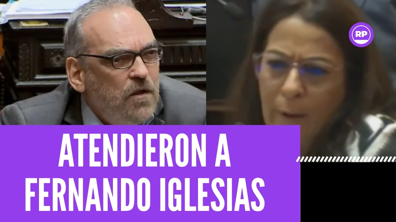 Senadora agarró a bifes a Fernando Iglesias en el Senado: 