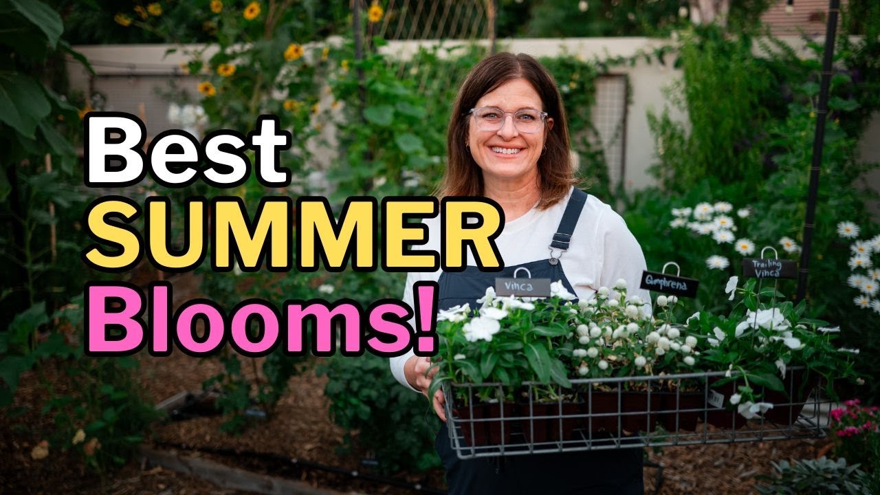 8 Best FLOWERS for HOT Summer Gardens (Arizona Tested!)