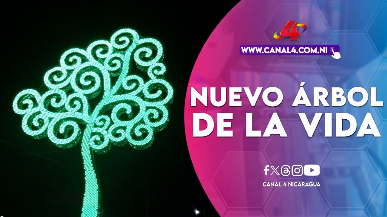 Rotonda La Garita se ilumina con nuevo árbol de la vida