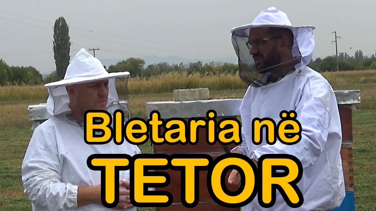 TETORI: Çfarë duhet të bëjë Bletari ? ( Kalendari i Bletarit )