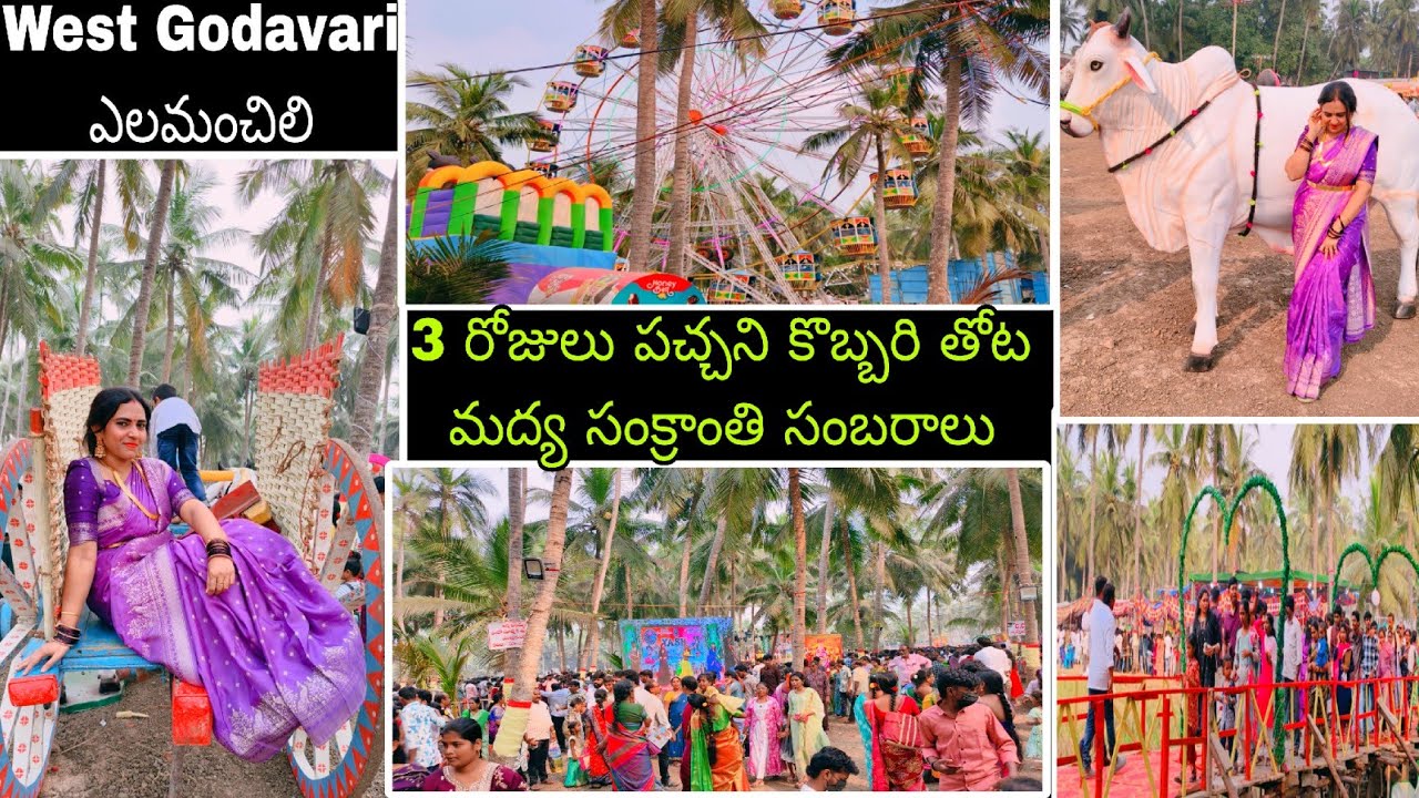 ఎలమంచిలి సంక్రాంతి సంబరాలు చూడ్డానికి 2 కళ్ళు సరిపోదు West Godavari అసలైన కోడిపందాలు జరిగేది ఇక్కడే 