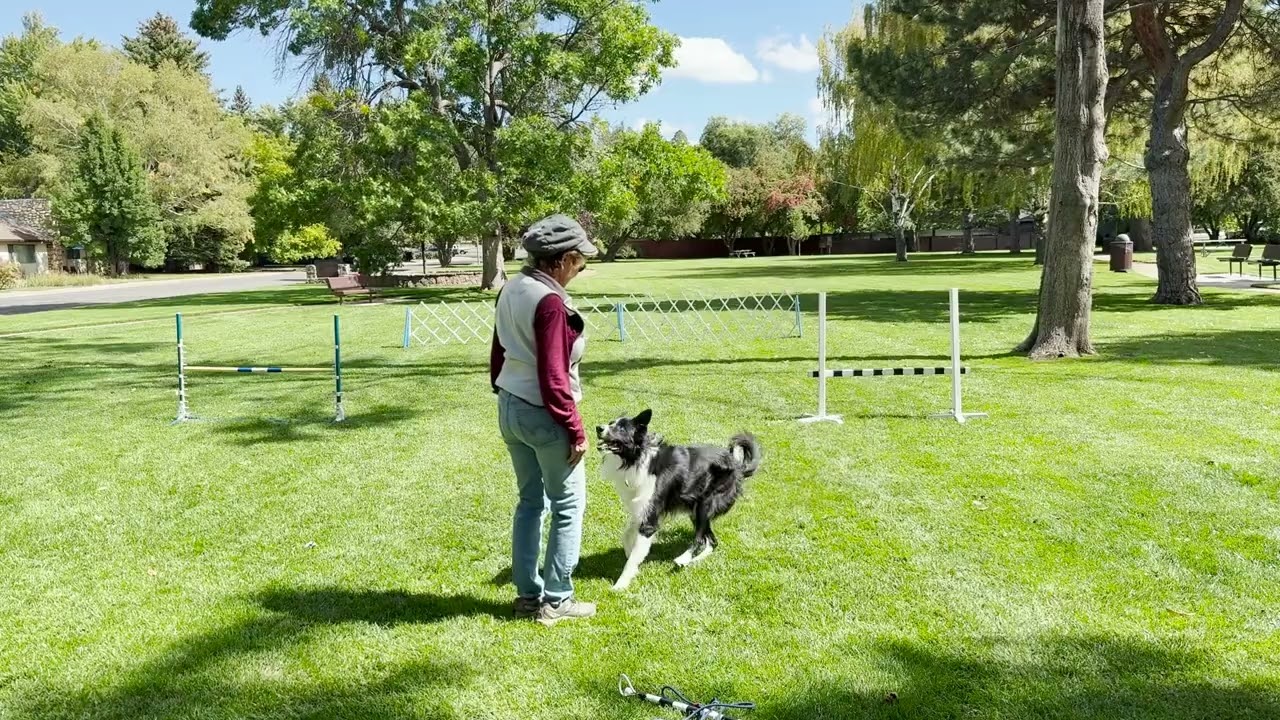 Dylan's Directed Jumping