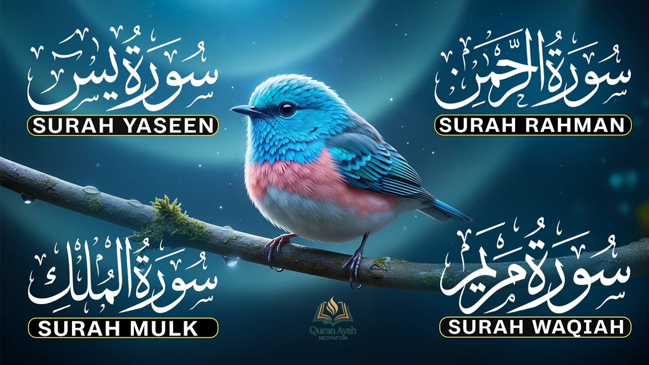 Most Beautiful Surah Yaseen, Surah Rahman, Surah Waqiah, Surah Mulk by Alaa Aqel - EP-67