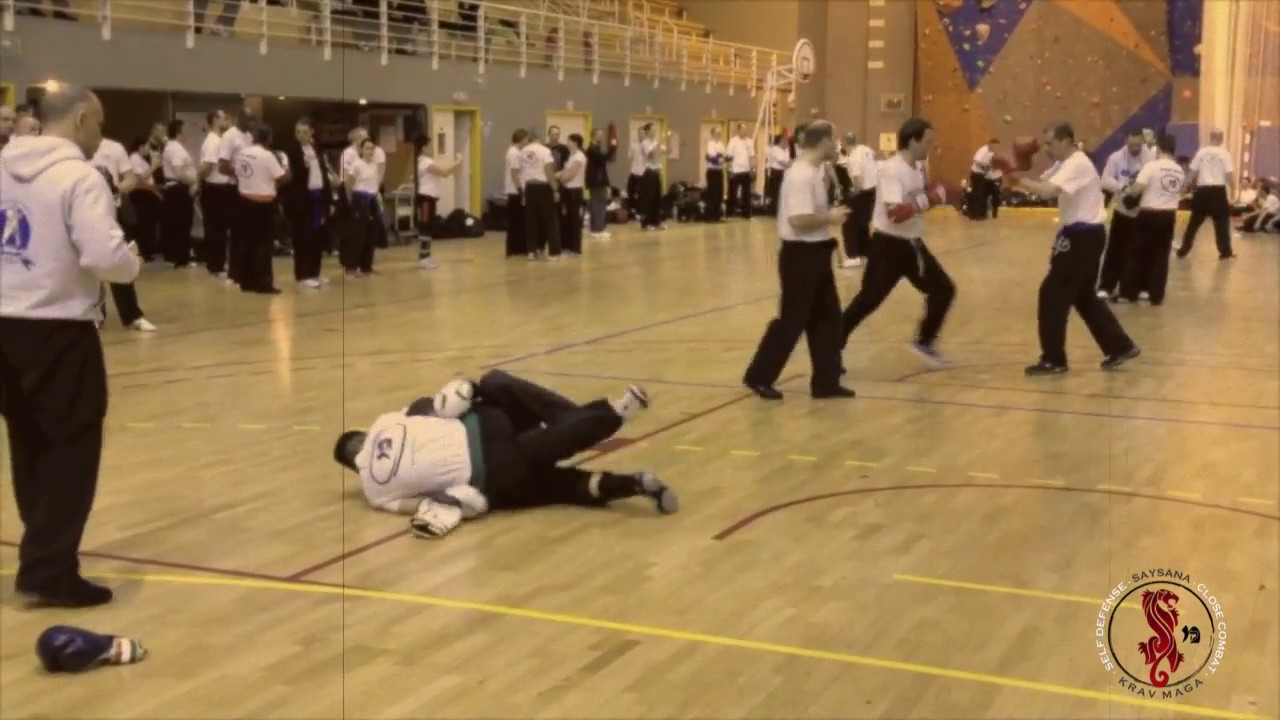 Combats durs Krav Maga, Stage d'Hiver FEKM 2013