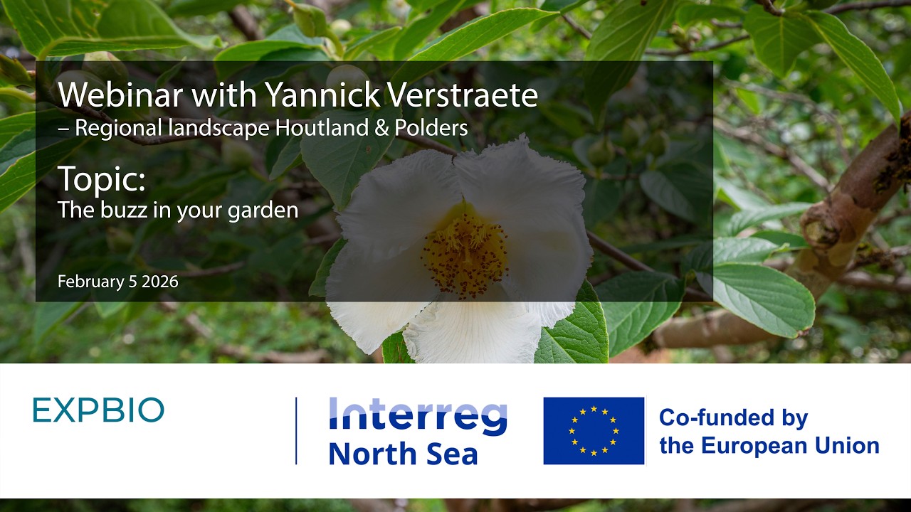 Yannick Verstraete – The buzz in your garden