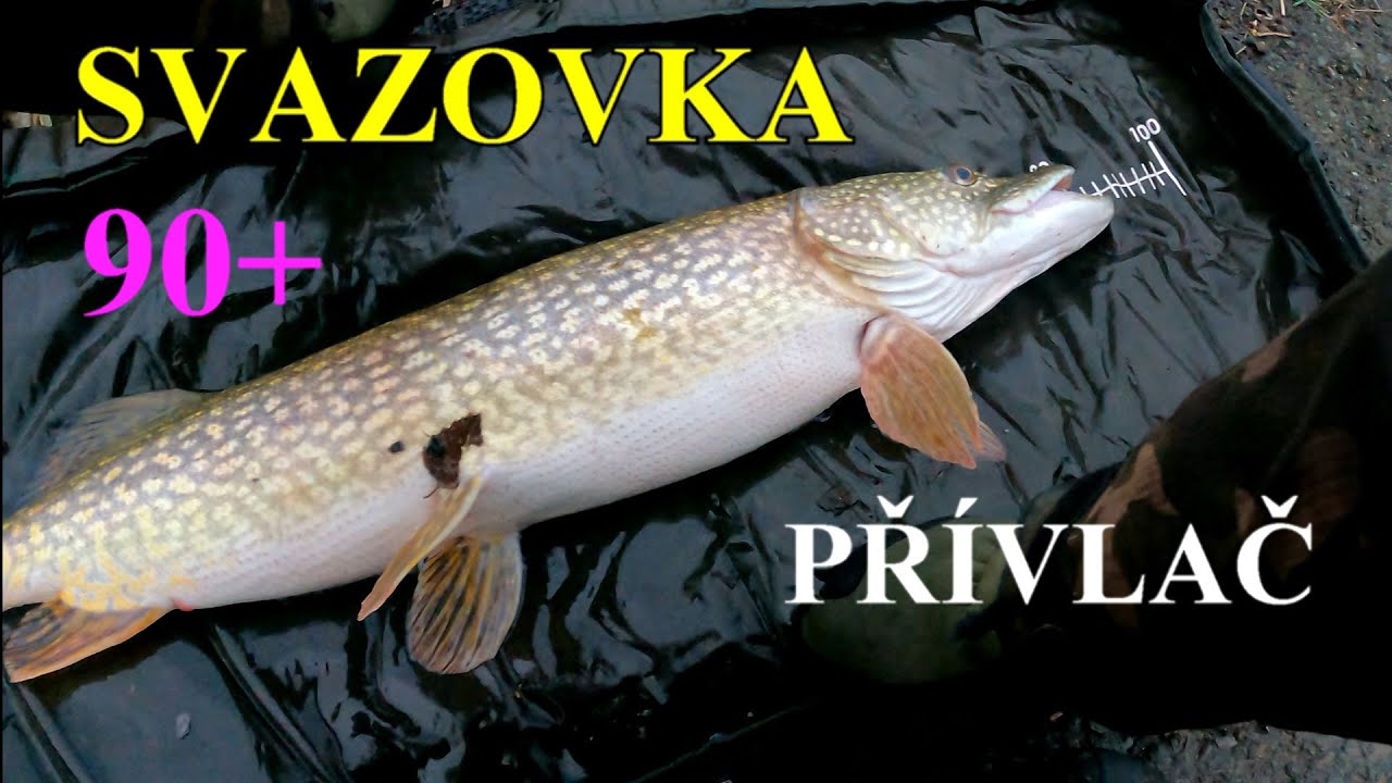 &Scaron;TIKA 90+, SVAZOVKA, VELK&Eacute; N&Aacute;STRAHY, &Scaron;PATN&Eacute; POČAS&Iacute;