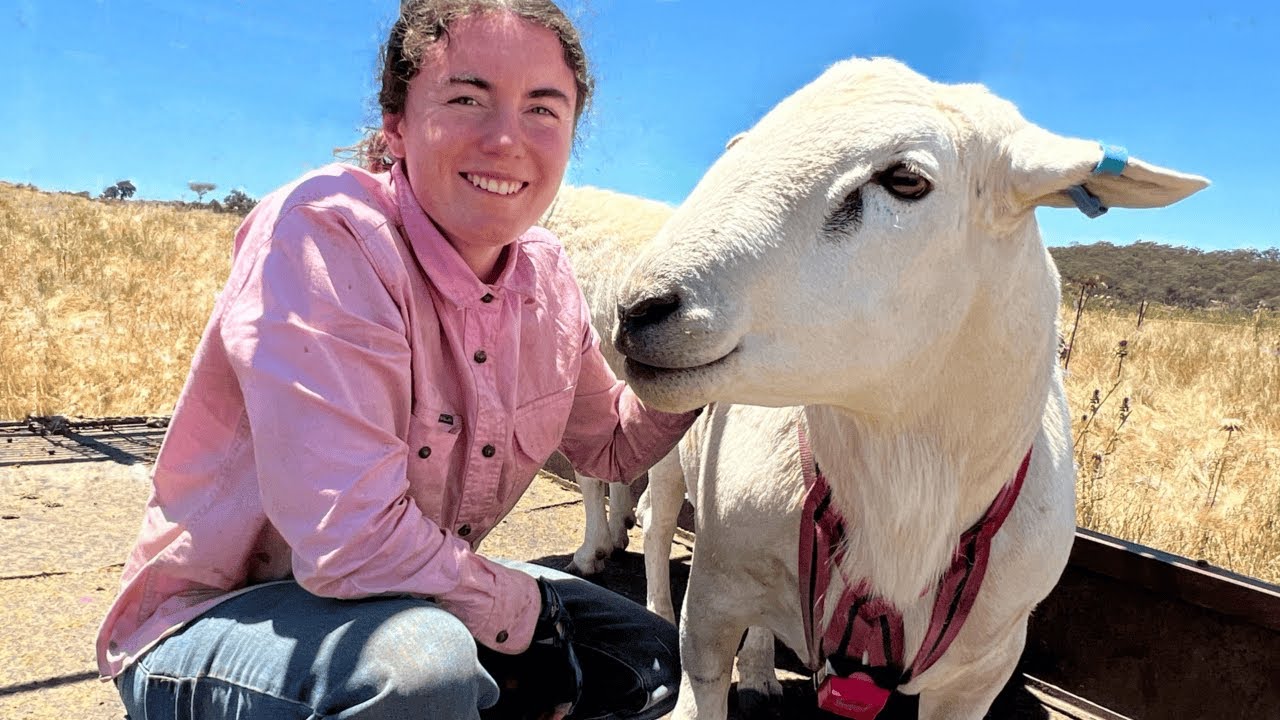 Конец начала