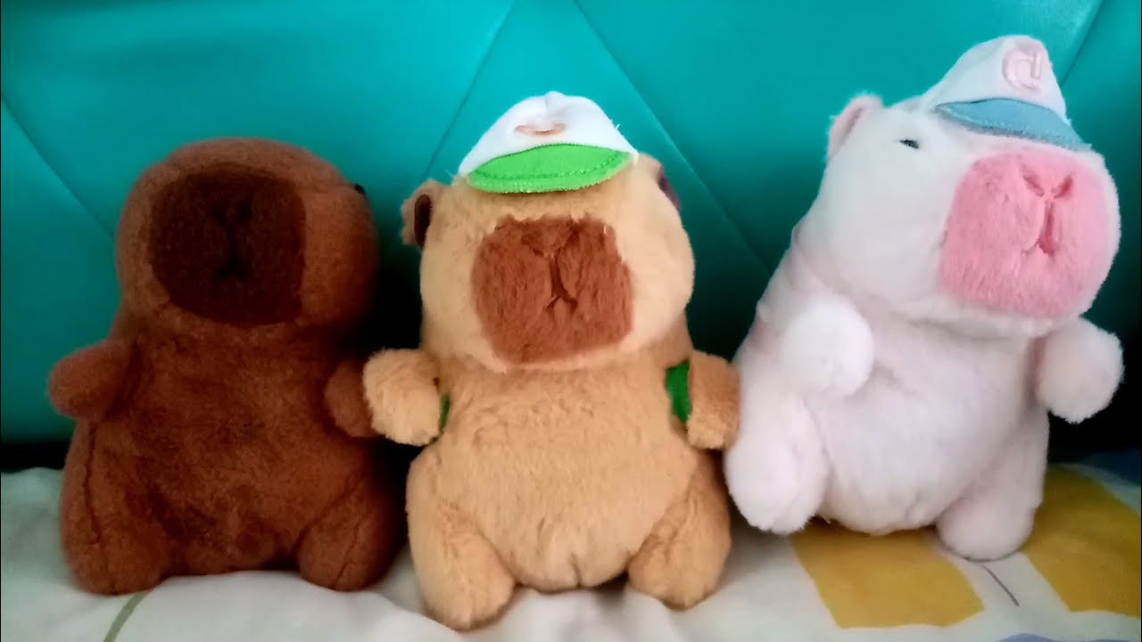 Una mañana con los capibaras💖