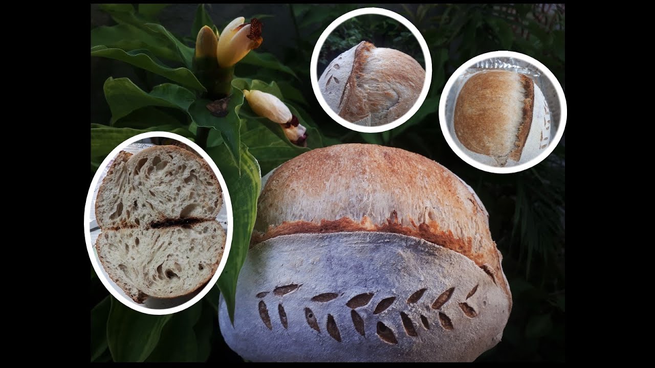 [Turn Captions On] No Knead Sourdough Bread Made in a Hot and Humid Country | Tropical Sourdough