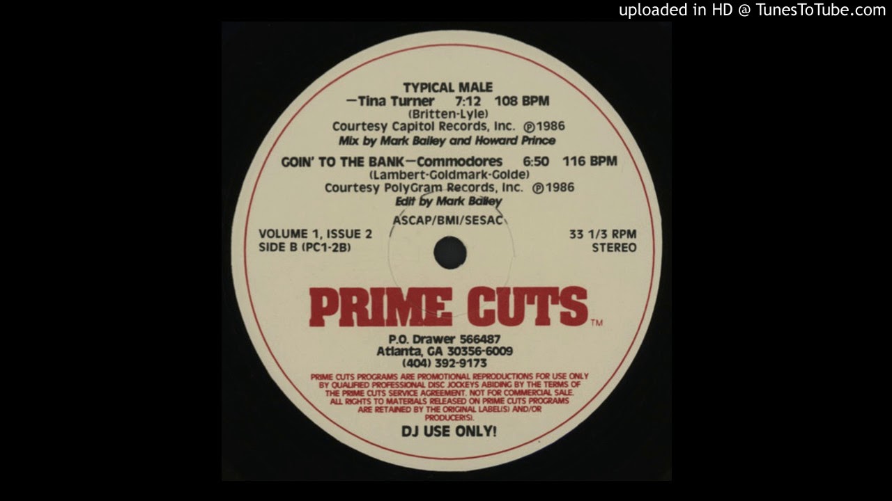 Tina Turner - Typical Male (Prime Cuts Version)