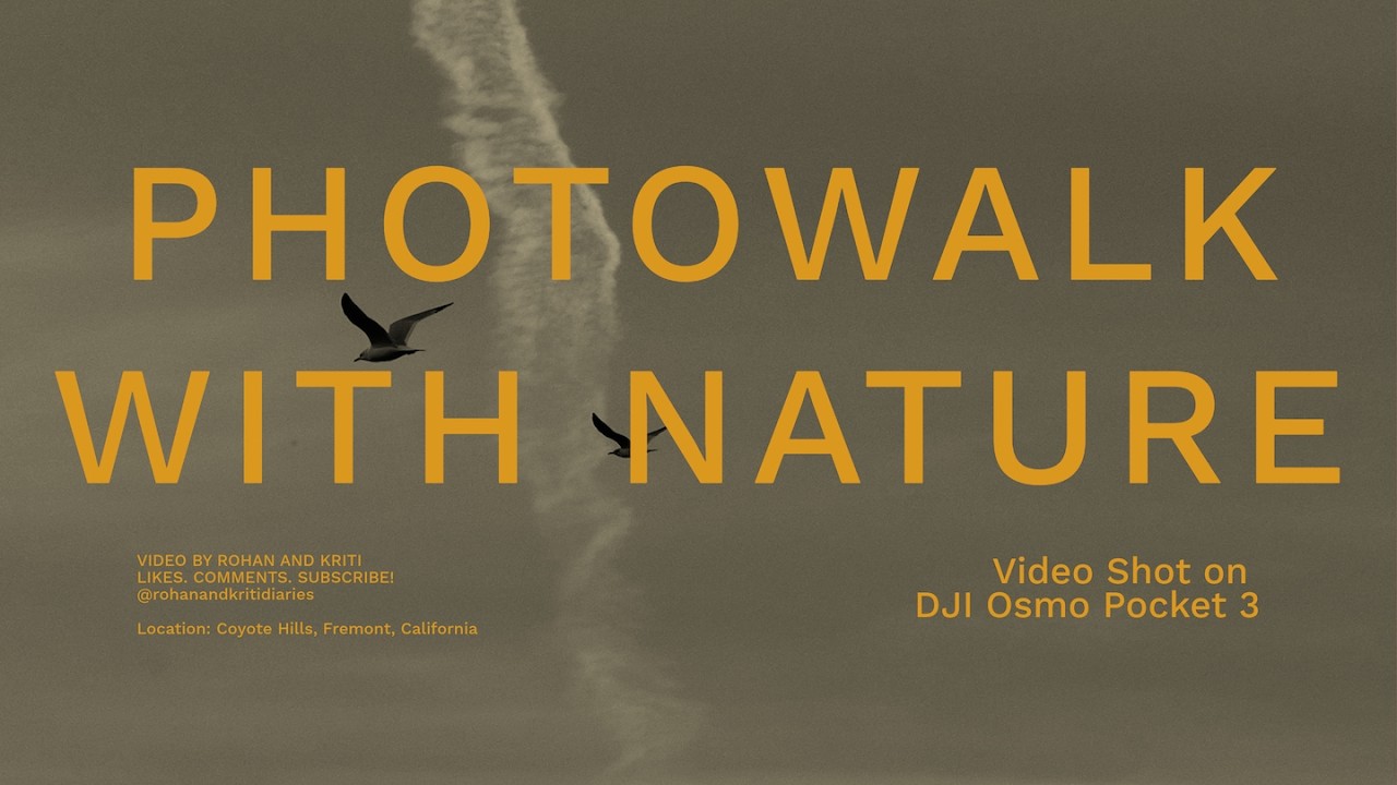 Casual Photowalk at Coyote Hills | Fremont, California