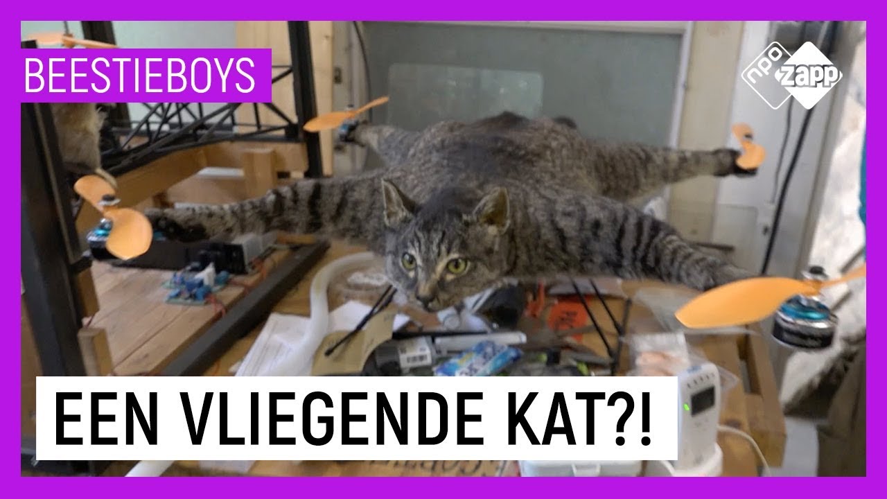 DRONE DIEREN | Extreme Animal Hobby's Beestieboys | NPO Zapp