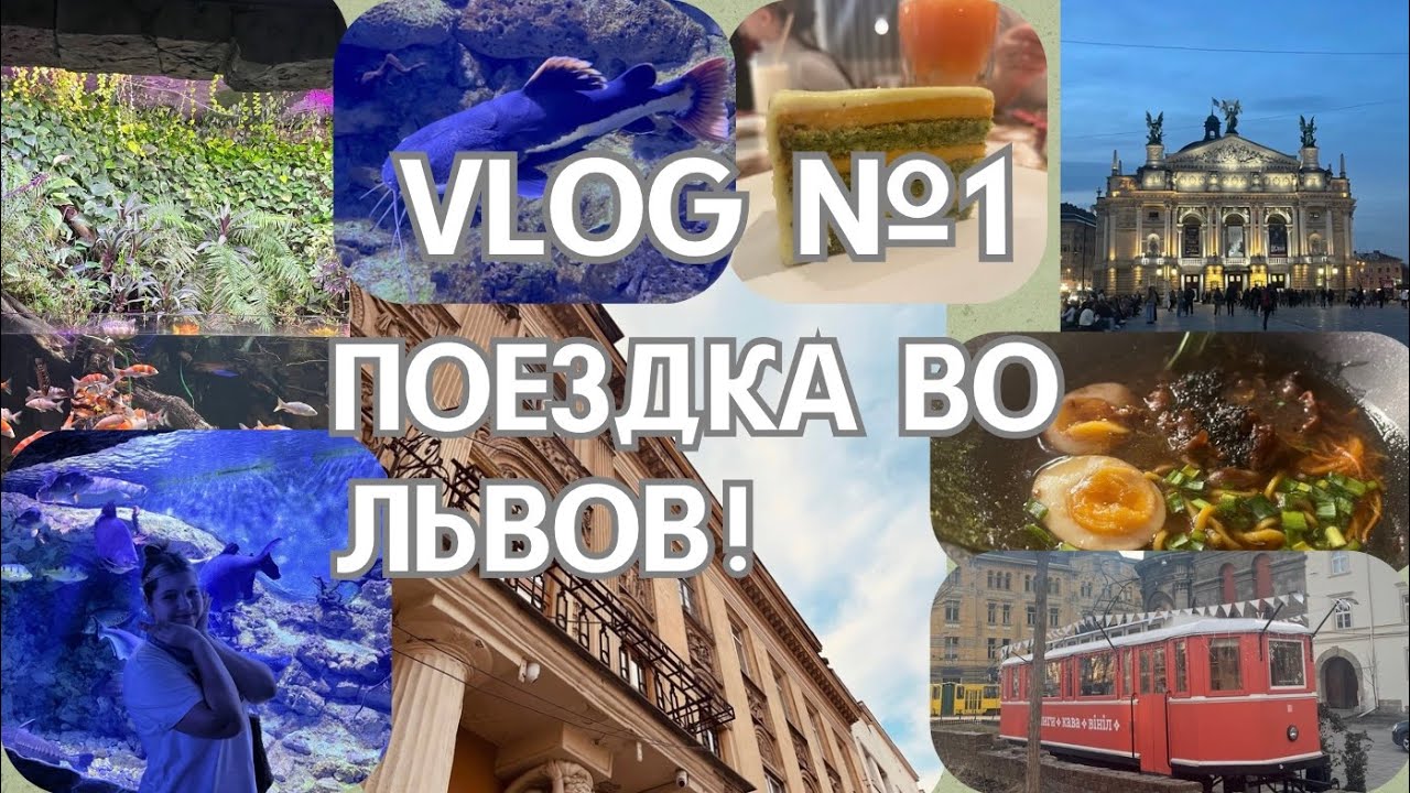 VLOG №1: ПOЕЗДКА ВО ЛЬВОВ |ОКЕАНАРИУМ| РЕБЕРНЯ| NOA| |ABIGAIL KIND|