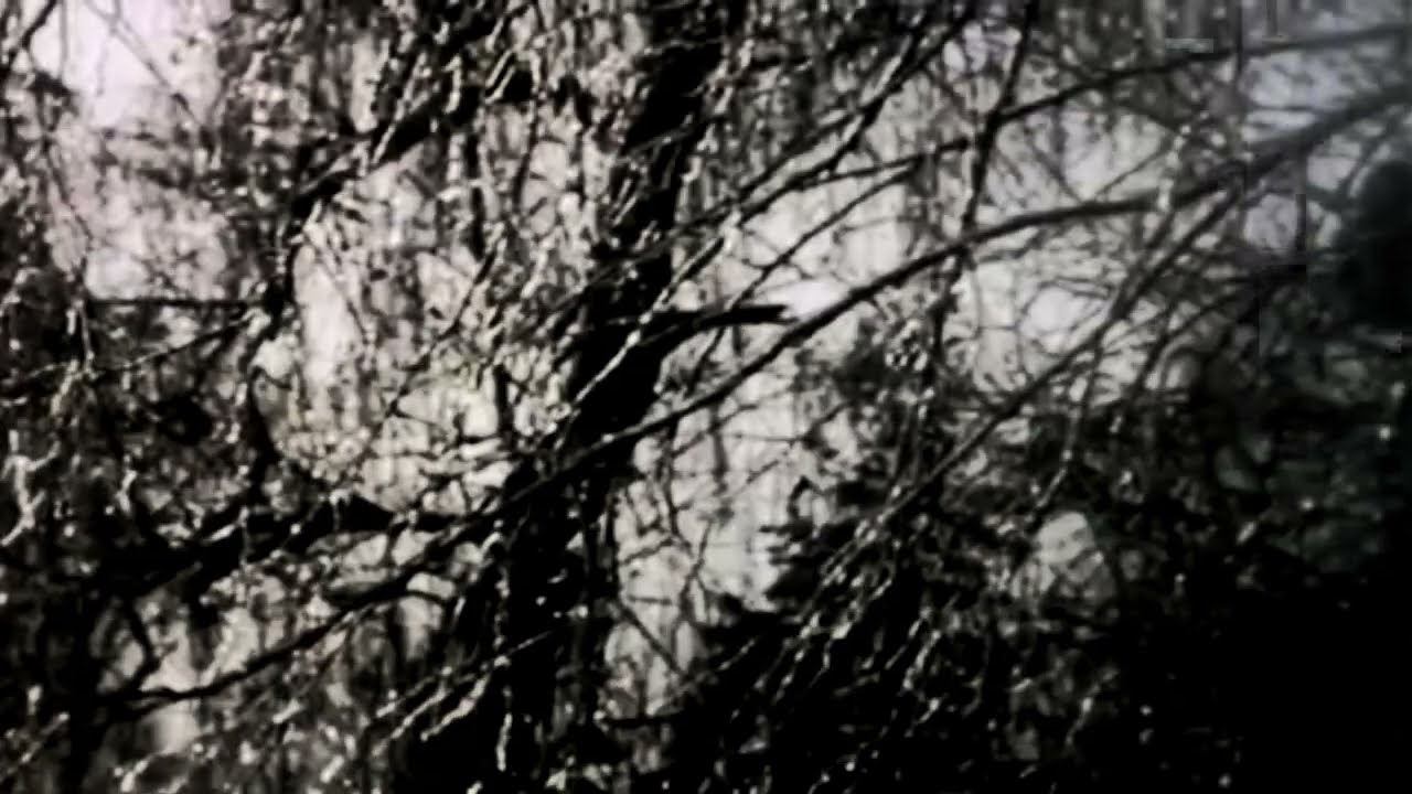 DJ Armok - Witness The Crucifix (Visual)