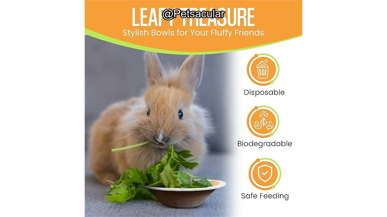 Raj Disposable Palm Leaf Bowls Review: Eco-Friendly, Safe, and Practical for Small Pets