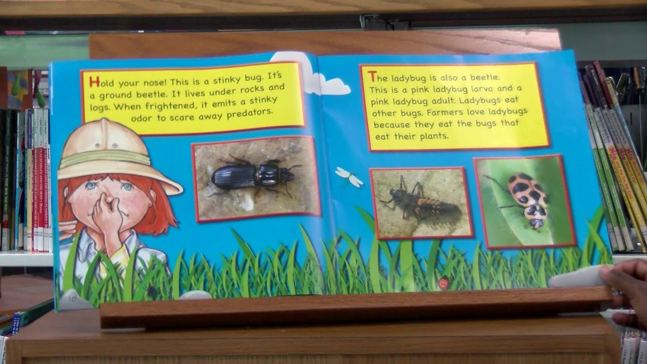 Edie's Backyard Bugs