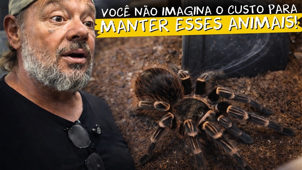 🕸️ ELE CRIA A MAIOR ARANHA DO MUNDO E OUTRAS RARIDADES IMPRESSIONANTES!