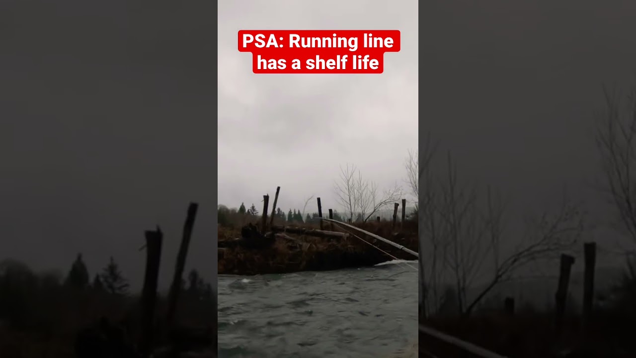 Catastrophic Fly Fishing FAIL 😱 
