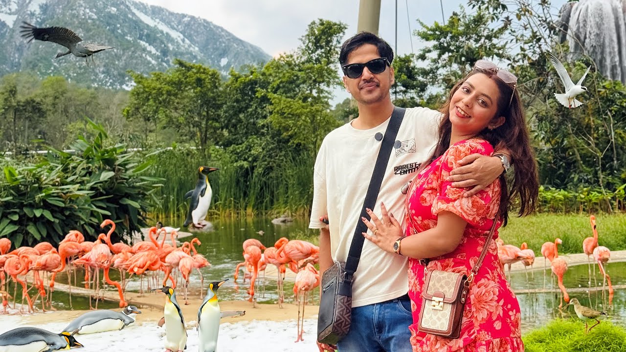 We Found Penguin 🐧 In Singapore Bird Paradise 😍 #PART1