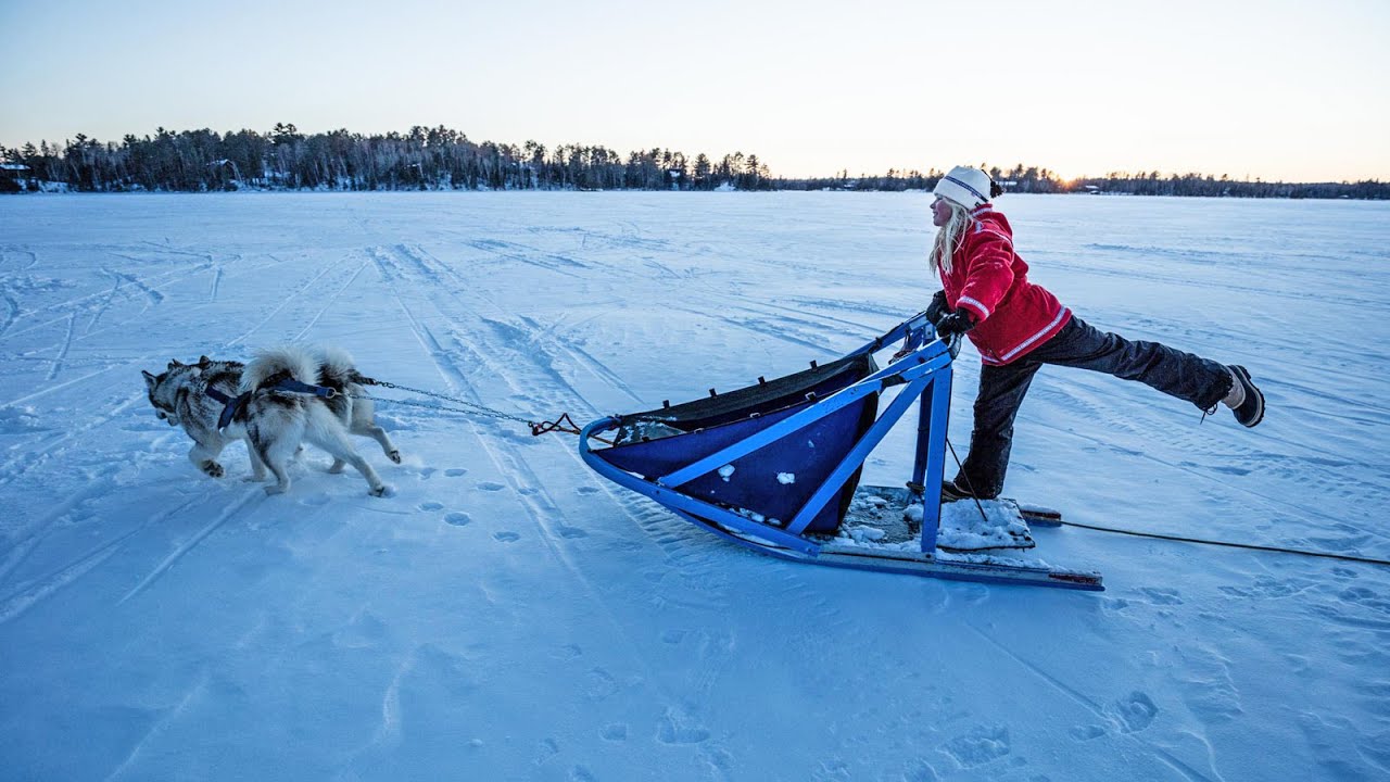 Experience A Wintergreen Dogsled Adventure