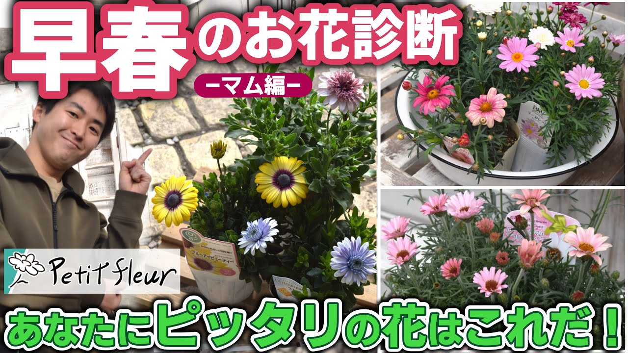 【お花診断】早春 あなたが育てるべきお花 教えます！