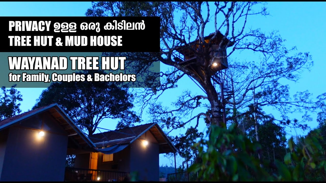 TREE HOUSE IN WAYANAD | FAMILY COTTAGE | MUD HOUSE | NIDRA HUT | WAYANAD | VLOG#9