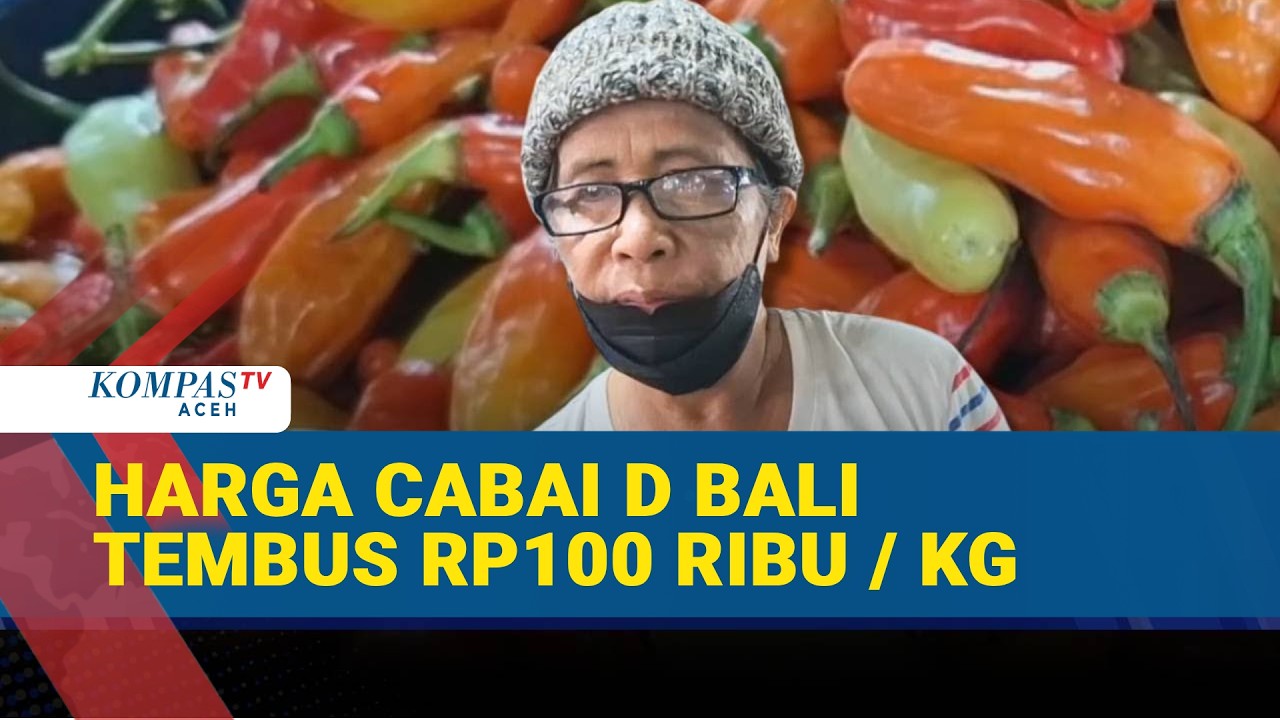 Cabai Rawit di Karangasem Bali Melonjak hingga Rp100 Ribu per Kg