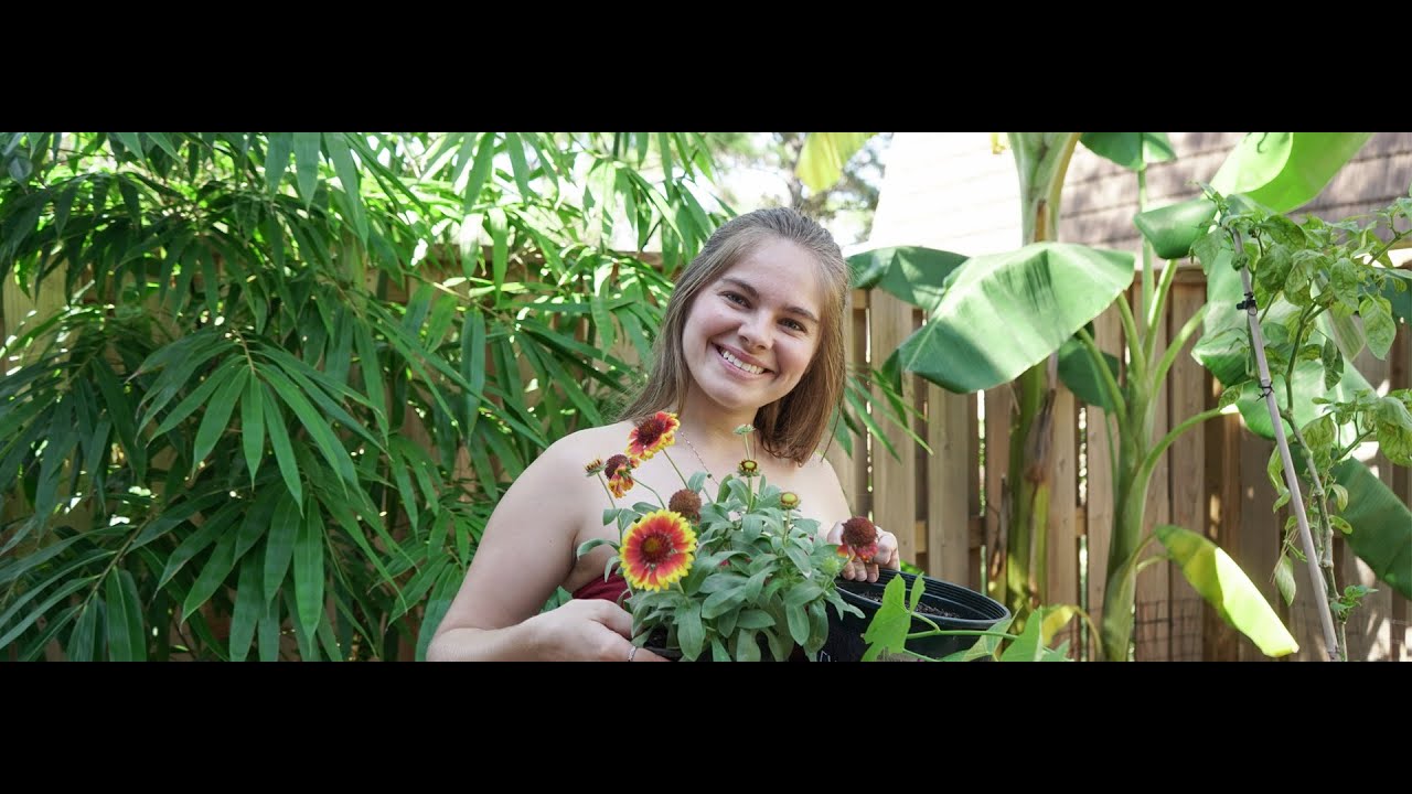 Planting New Plants + Garden Tour!