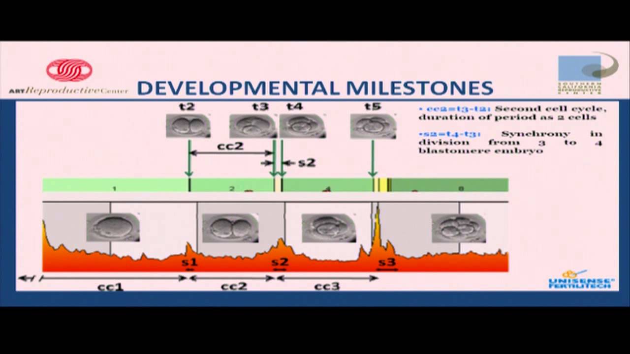 EmbryoScope® time-lapse system: The New Standard of Care