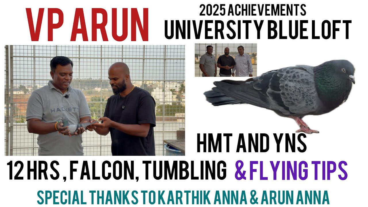 VP ARUN 2025 achievements , 12 hrs , Falcon, tumbling and more discussions  ￼
