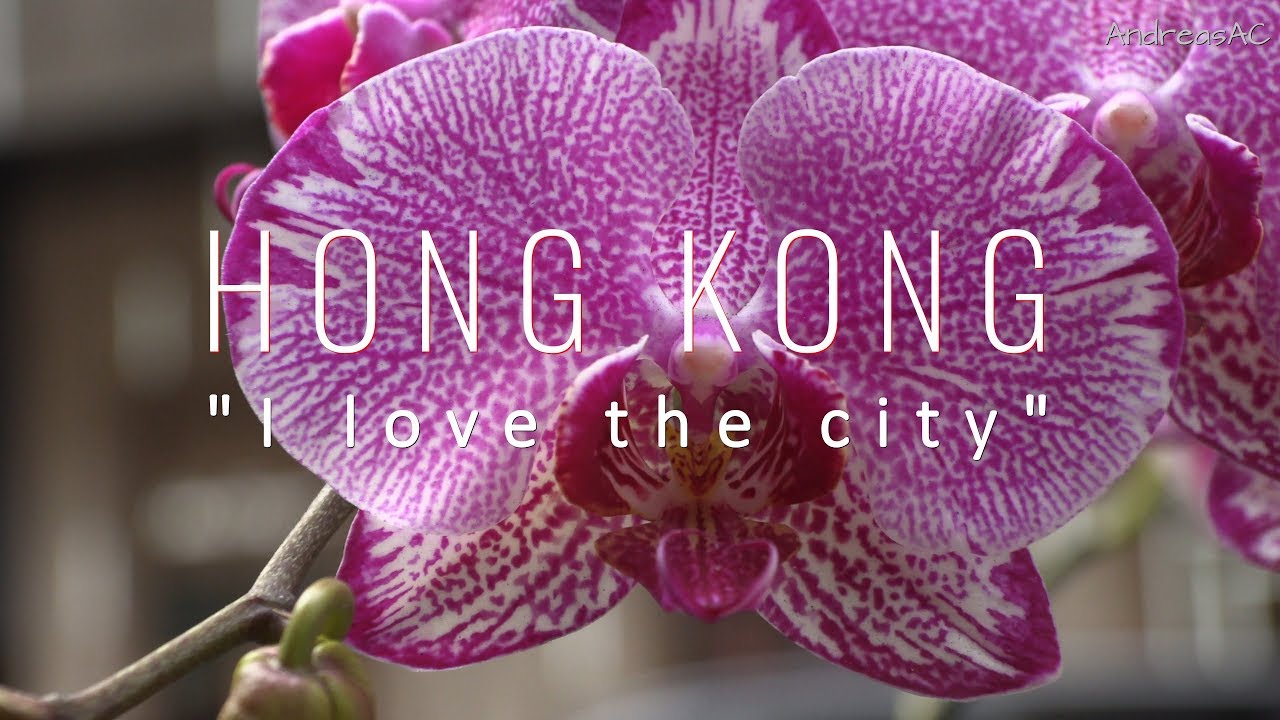 Hong Kong (4K / Canon GX 10)
