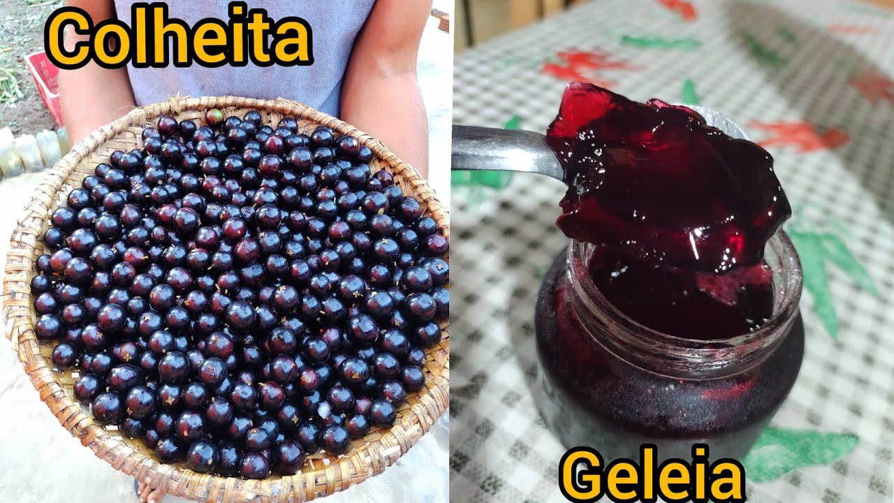 como fazer geleia de jabuticaba