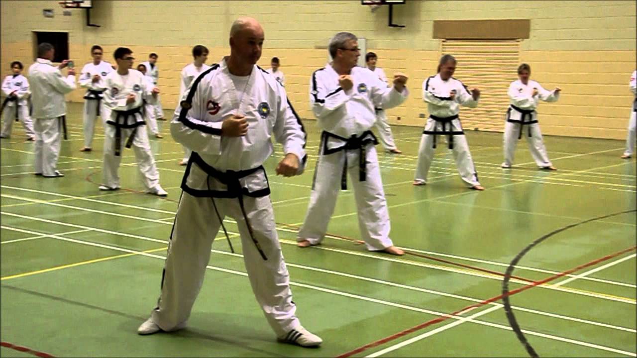 GM Trevor Nicholls TKD Seminar