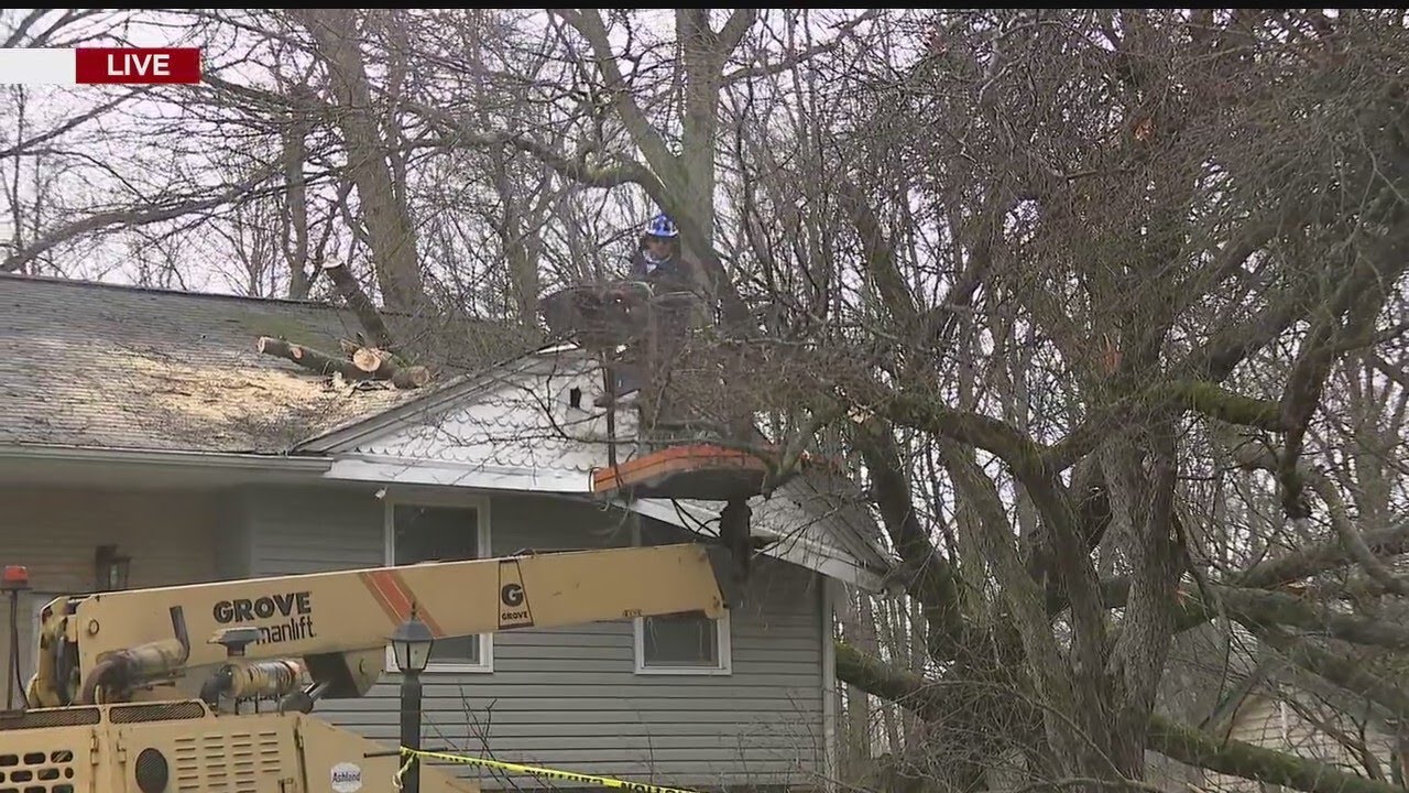 Tree falls on house in Howland
