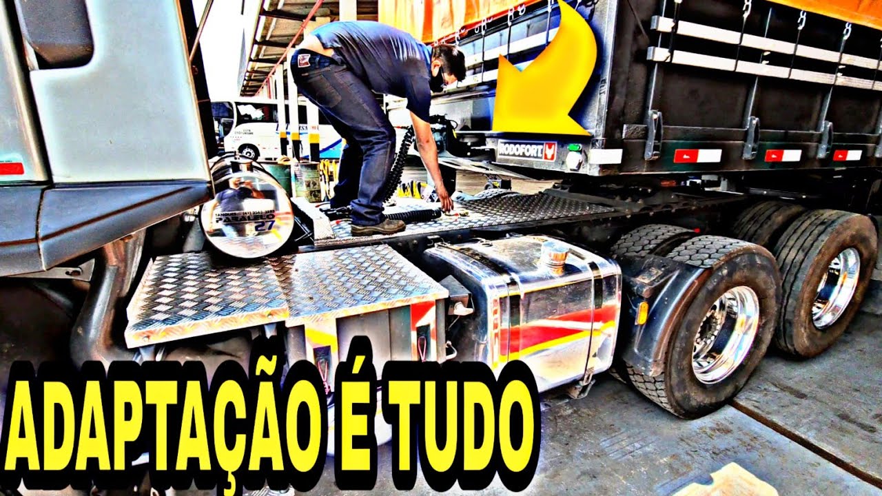 OLHA COMO FOI A ADAPTAÇÃO DO CANARINHO NA 4 PATAS 🐾 🐾.
