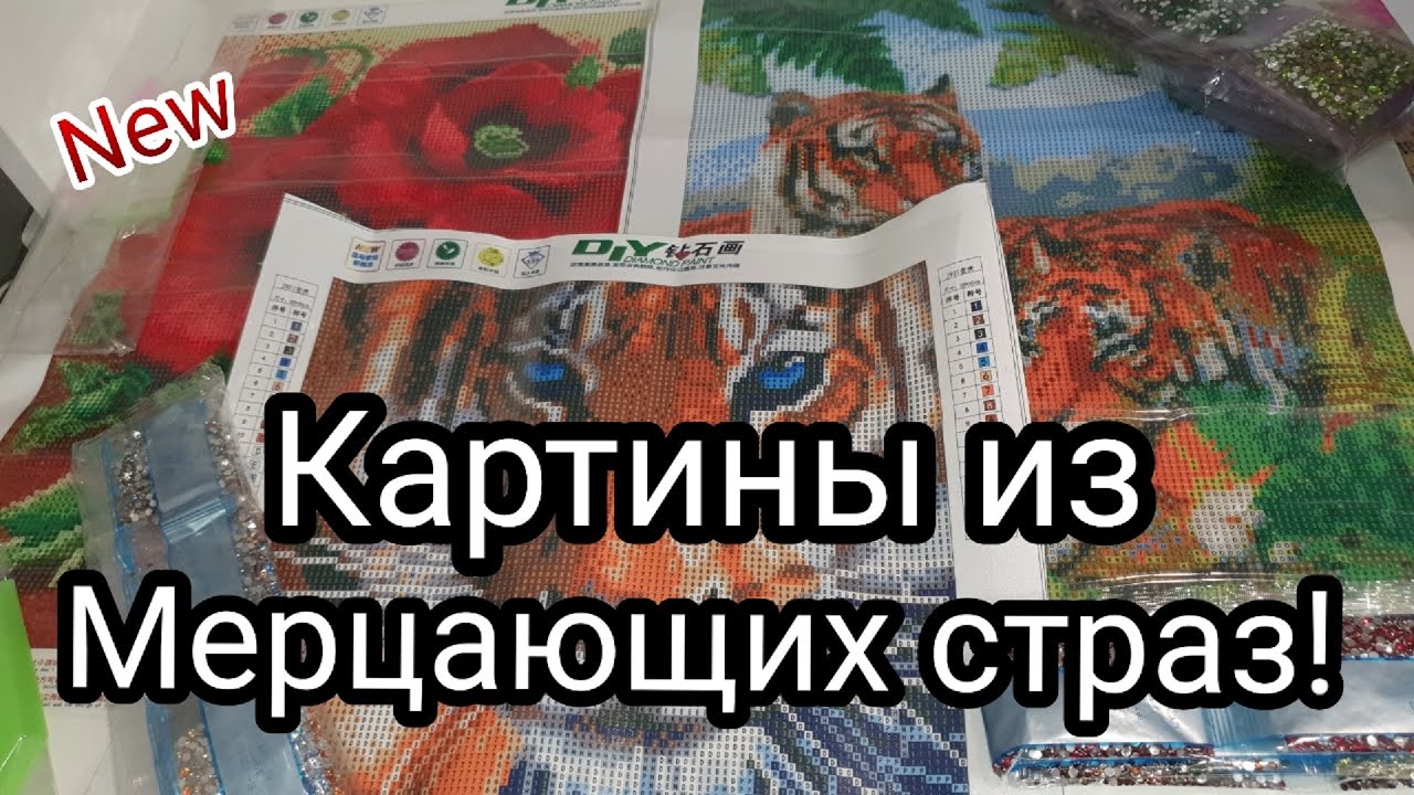 Алмазная вышивка полностью из мерцающих страз!! ШИКАРНО! Какую картину буду выкладывать я ?