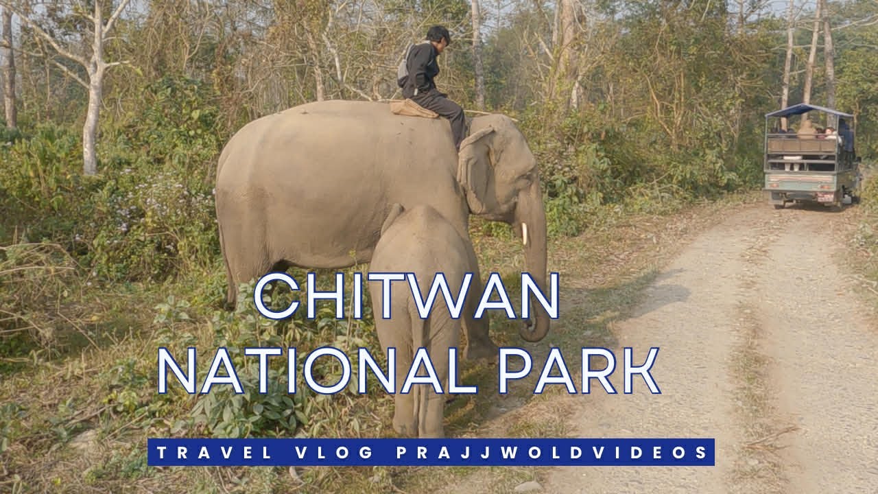 Traveling To Nepalgunj And Chitwan National Park ...! #travelvlog #goprohero9black #cinematic #trend