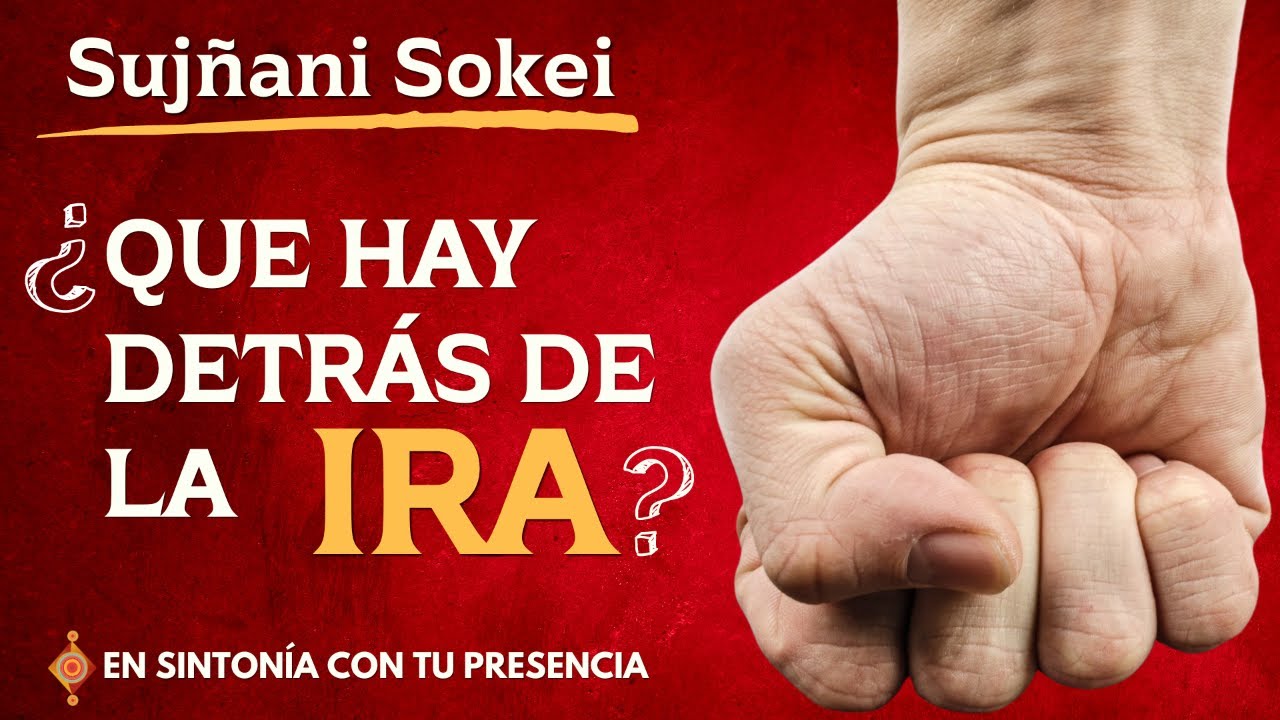 ¿Qué hay detrás de la IRA? - SOKEI
