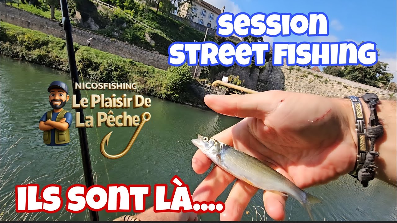 STREET FISHING à Dole ( 39 ) Ils sont là... Pêche Multi-Espece 