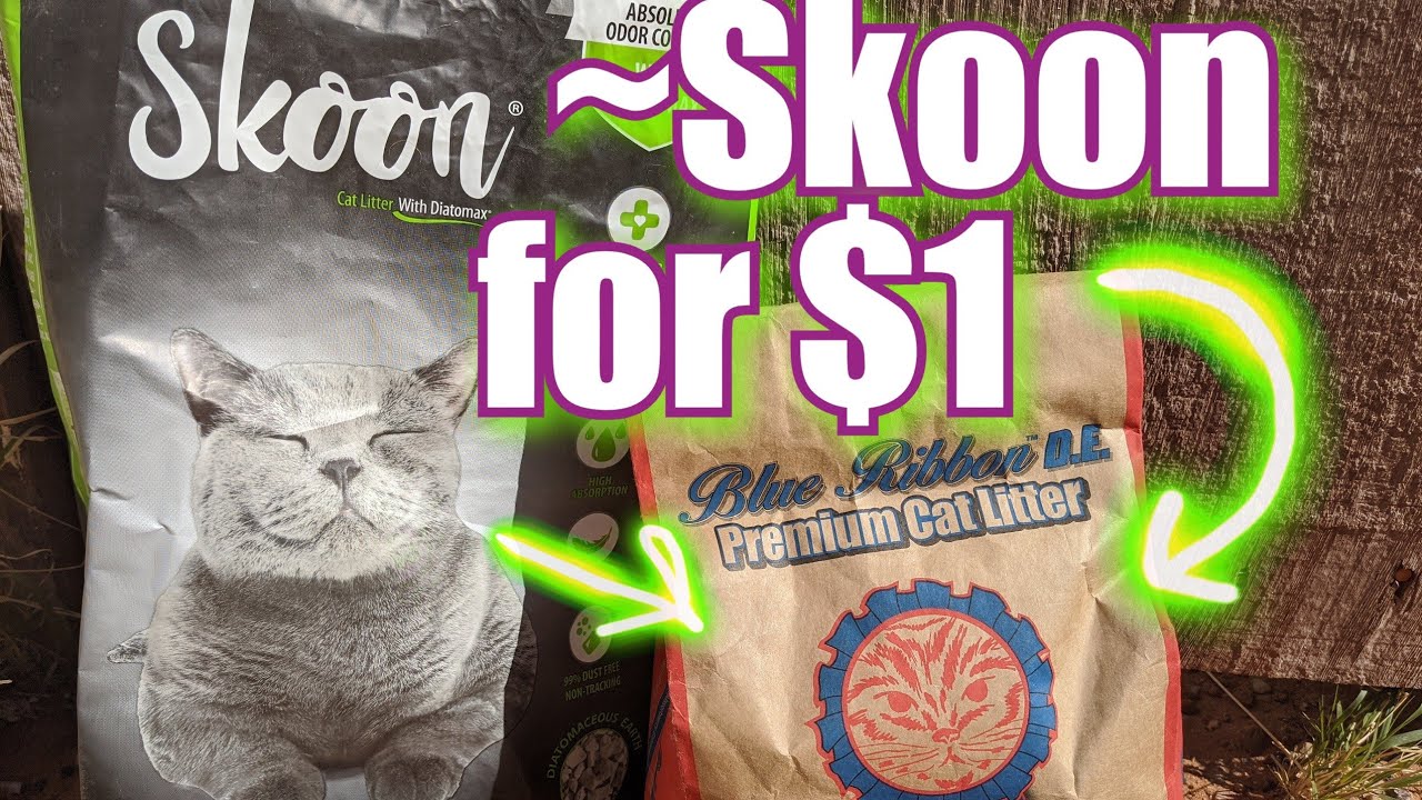 Skoon Cat Litter for ONE DOLLAR = Blue Ribbon D.E. Cat Litter Review