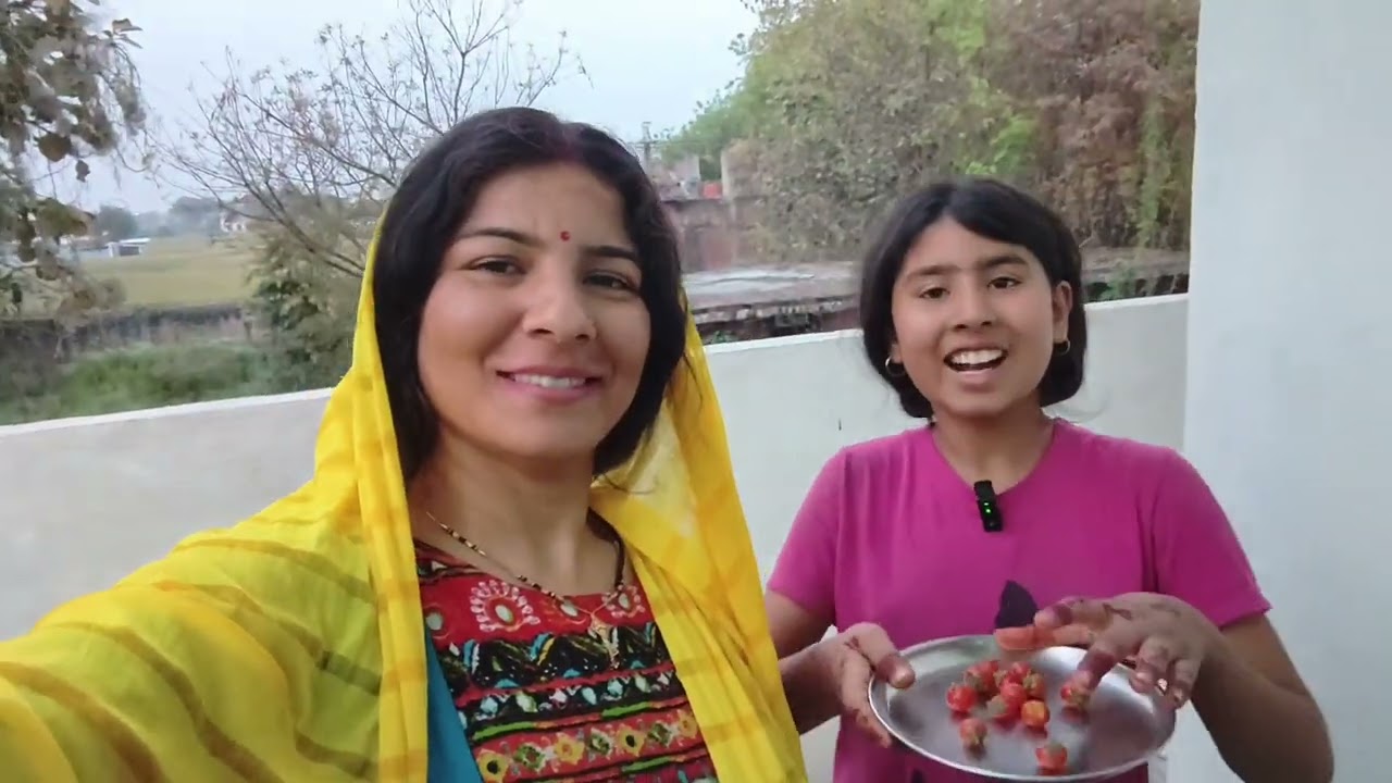Shagun ne toda Cherry Tamatar 🍅 Shivanshi Cherry Tamatar se khelne lagi | Cute Family Vlog