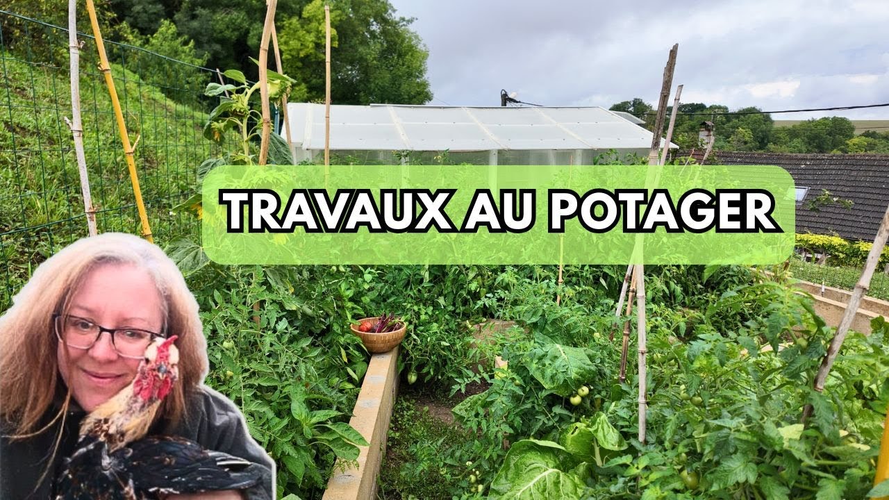 Les travaux au potager recoltes et prépa emplacements #jardin #potager #garden #permaculture