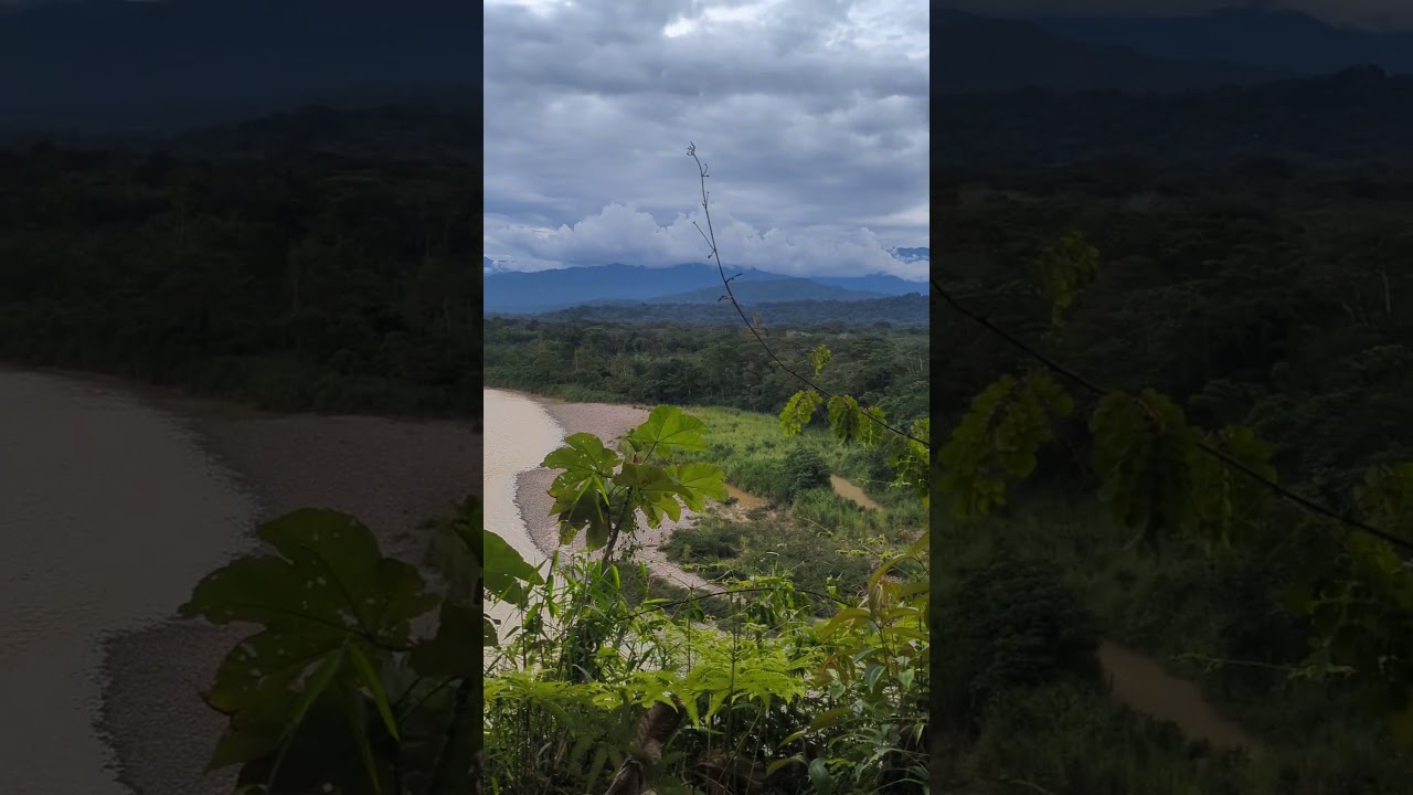 The beautiful upper Amazon basin - Rio Napo in Ecuador #amazonrainforest