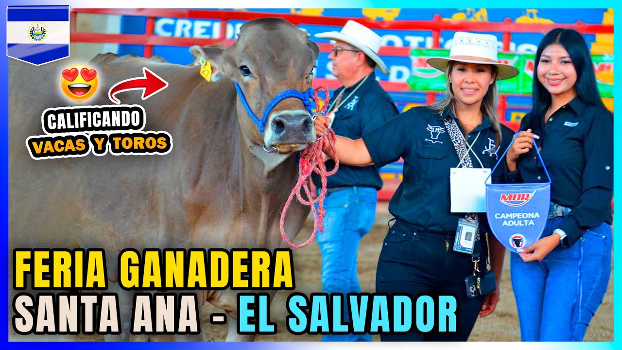 🇸🇻 Caminando Santa Ana El Salvador | CONCURSOS | FERIA GANADERA | FIESTAS JULIAS 2025